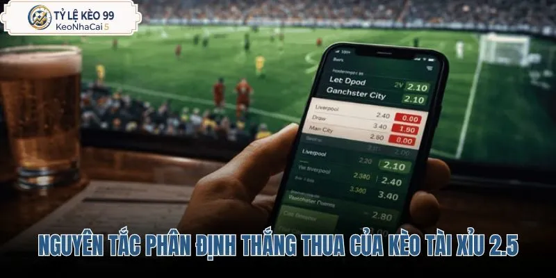 ban-chat-va-nguyen-tac-phan-dinh-thang-thua-cua-keo-tai-xiu-2-5 ban-chat-va-nguyen-tac-phan-dinh-thang-thua-cua-keo-tai-xiu-2-5