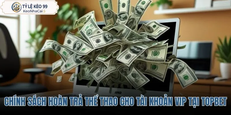 chinh-sach-hoan-tra-the-thao-danh-cho-tai-khoan-vip-tai-topbet chinh-sach-hoan-tra-the-thao-danh-cho-tai-khoan-vip-tai-topbet