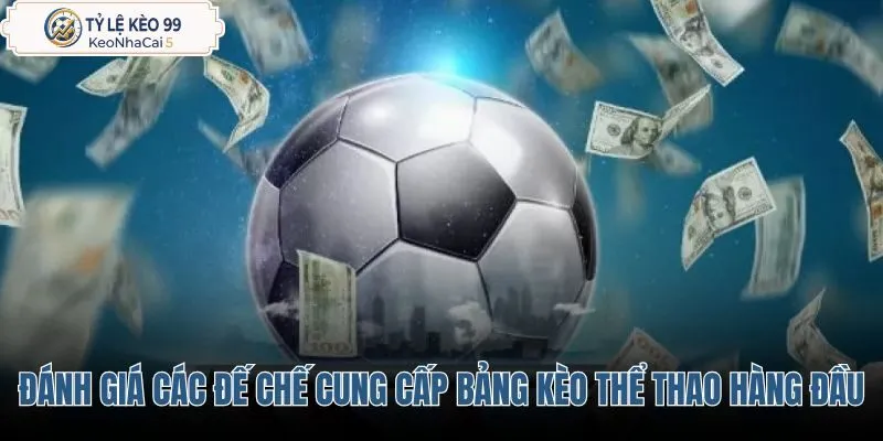 danh-gia-cac-de-che-cung-cap-bang-keo-the-thao-hang-dau