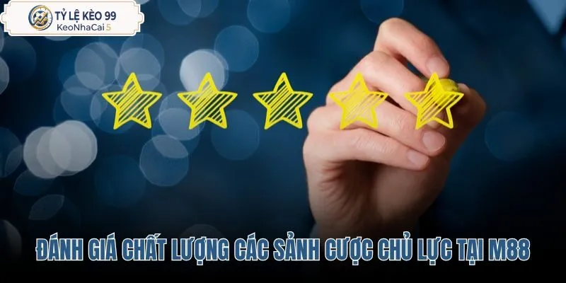 danh-gia-chat-luong-cac-sanh-cuoc-chu-luc-tai-m88 danh-gia-chat-luong-cac-sanh-cuoc-chu-luc-tai-m88