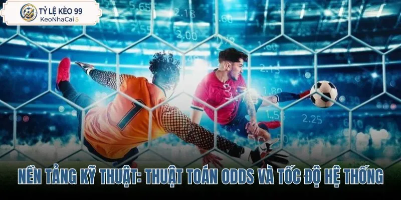danh-gia-nen-tang-ky-thuat-thuat-toan-odds-va-toc-do-he-thong