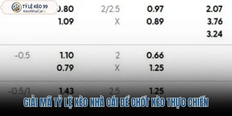 giai-ma-ty-le-keo-nha-cai-de-chot-keo-thuc-chien giai-ma-ty-le-keo-nha-cai-de-chot-keo-thuc-chien