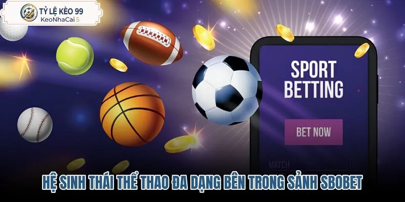 he-sinh-thai-the-thao-da-dang-ben-trong-sanh-sbobet