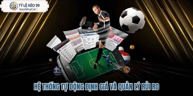 he-thong-tu-dong-dinh-gia-va-quan-ly-rui-ro