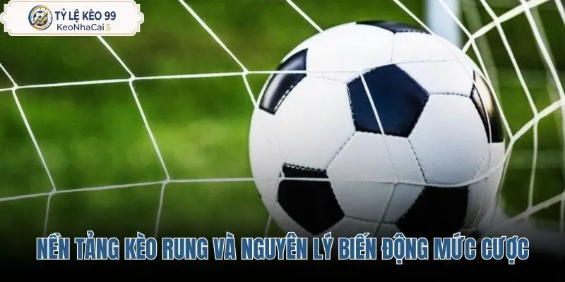 nen-tang-keo-rung-va-nguyen-ly-bien-dong-muc-cuoc