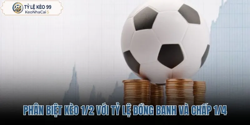 phan-biet-keo-1-2-voi-ty-le-dong-banh-va-chap-1-4 phan-biet-keo-1-2-voi-ty-le-dong-banh-va-chap-1-4