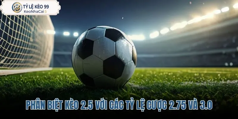phan-biet-keo-2-5-voi-cac-ty-le-cuoc-2-75-va-3-0 phan-biet-keo-2-5-voi-cac-ty-le-cuoc-2-75-va-3-0