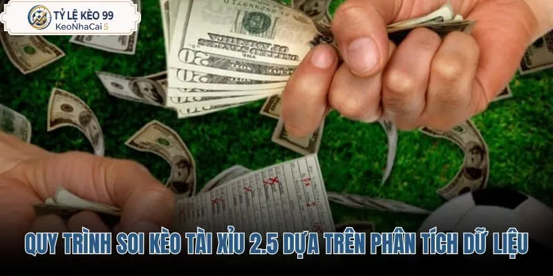 quy-trinh-soi-keo-tai-xiu-2-5-dua-tren-phan-tich-du-lieu quy-trinh-soi-keo-tai-xiu-2-5-dua-tren-phan-tich-du-lieu