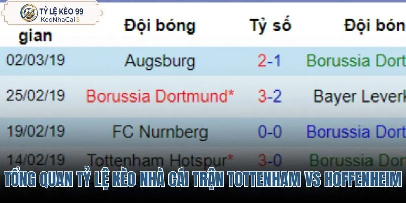 tong-quan-ty-le-keo-nha-cai-tran-tottenham-vs-hoffenheim tong-quan-ty-le-keo-nha-cai-tran-tottenham-vs-hoffenheim